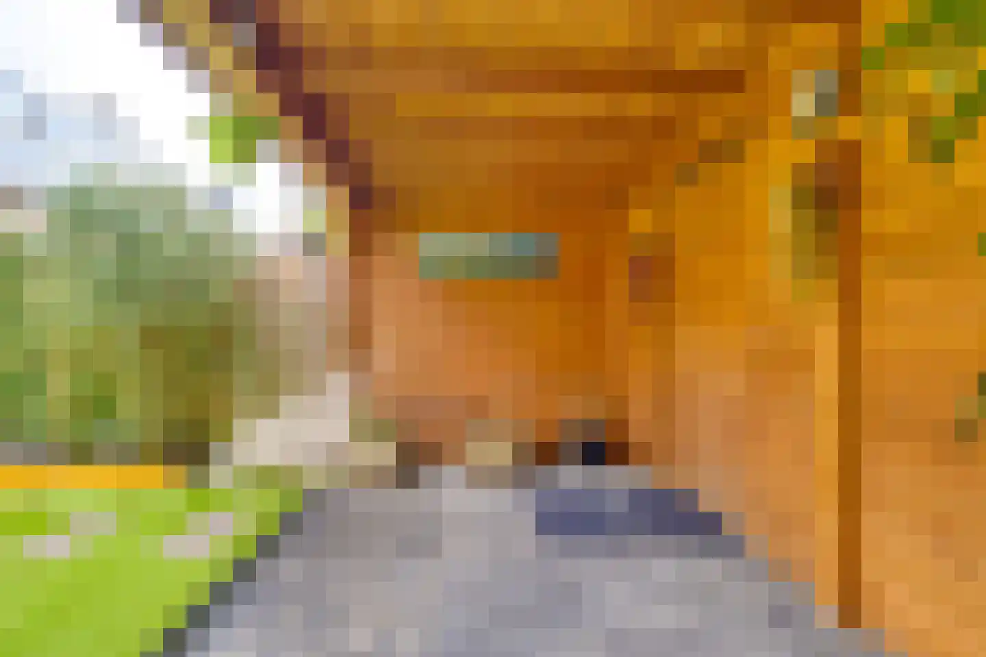 Lentegaarde 3 Nieuwegein thumbnail 38