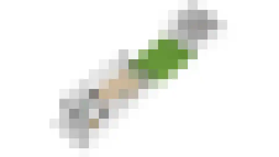 Lentegaarde 3 Nieuwegein thumbnail 57