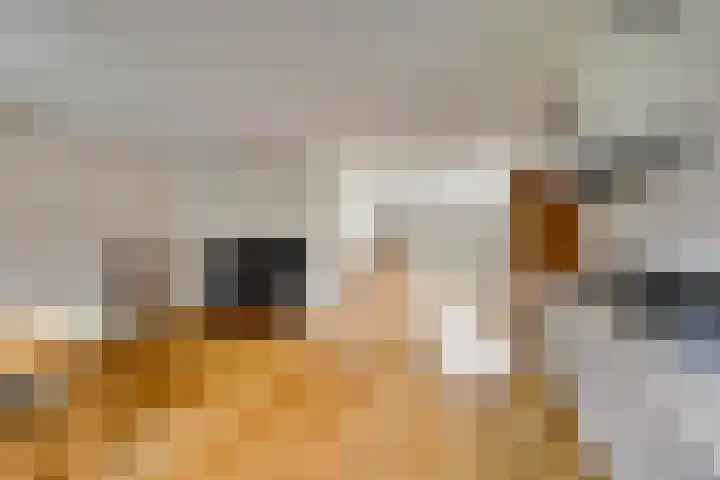 Lentehof 20 Zijderveld thumbnail 11