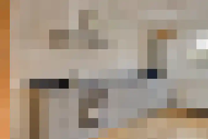 Lentehof 20 Zijderveld thumbnail 14