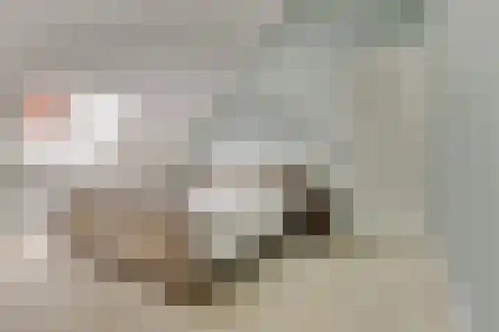 Lentehof 20 Zijderveld thumbnail 18