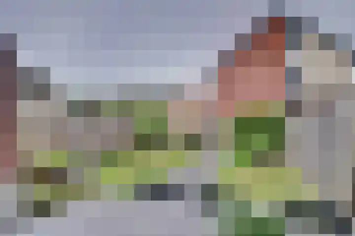 Lentehof 20 Zijderveld thumbnail 30