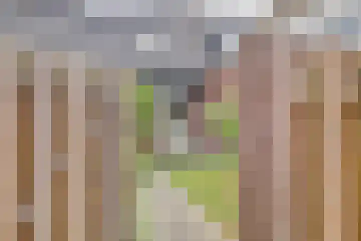 Lentehof 20 Zijderveld thumbnail 31