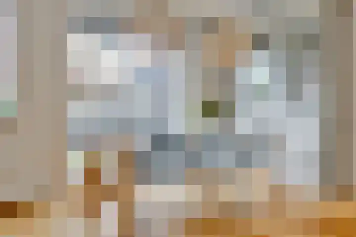 Lentehof 20 Zijderveld thumbnail 4