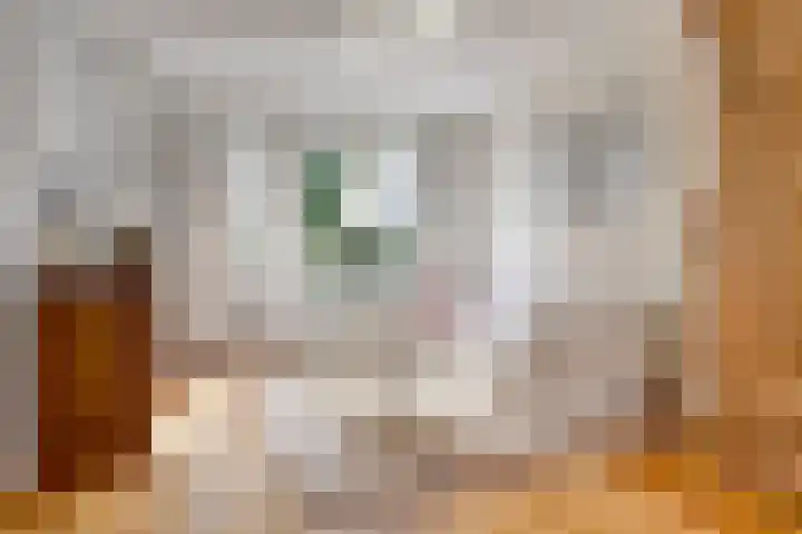 Lentehof 20 Zijderveld thumbnail 6