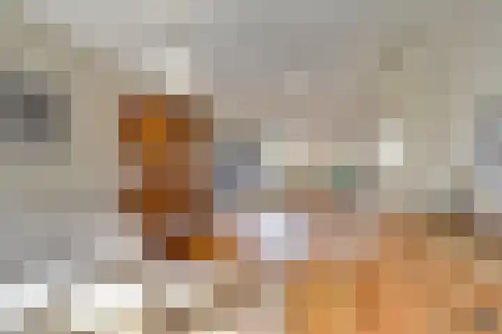 Lentehof 20 Zijderveld thumbnail 7