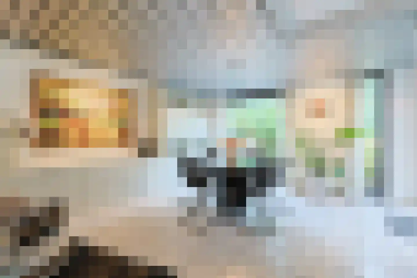 Lentekade 15 Leiderdorp thumbnail 11