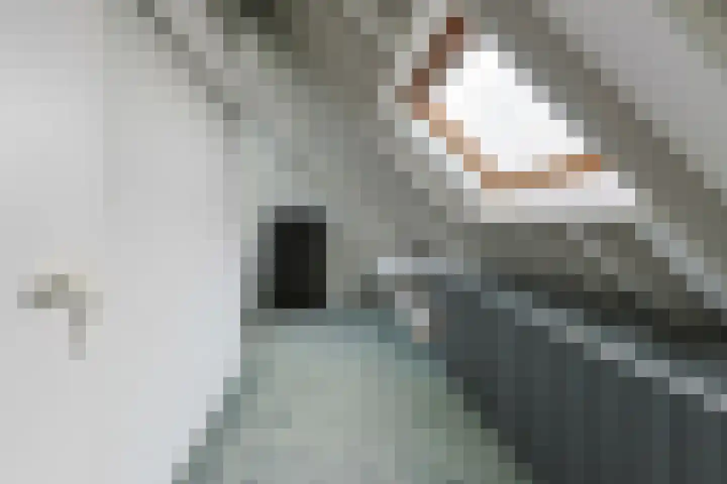 Lentekade 15 Leiderdorp thumbnail 25
