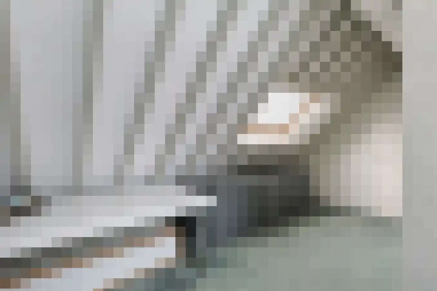 Lentekade 15 Leiderdorp thumbnail 27