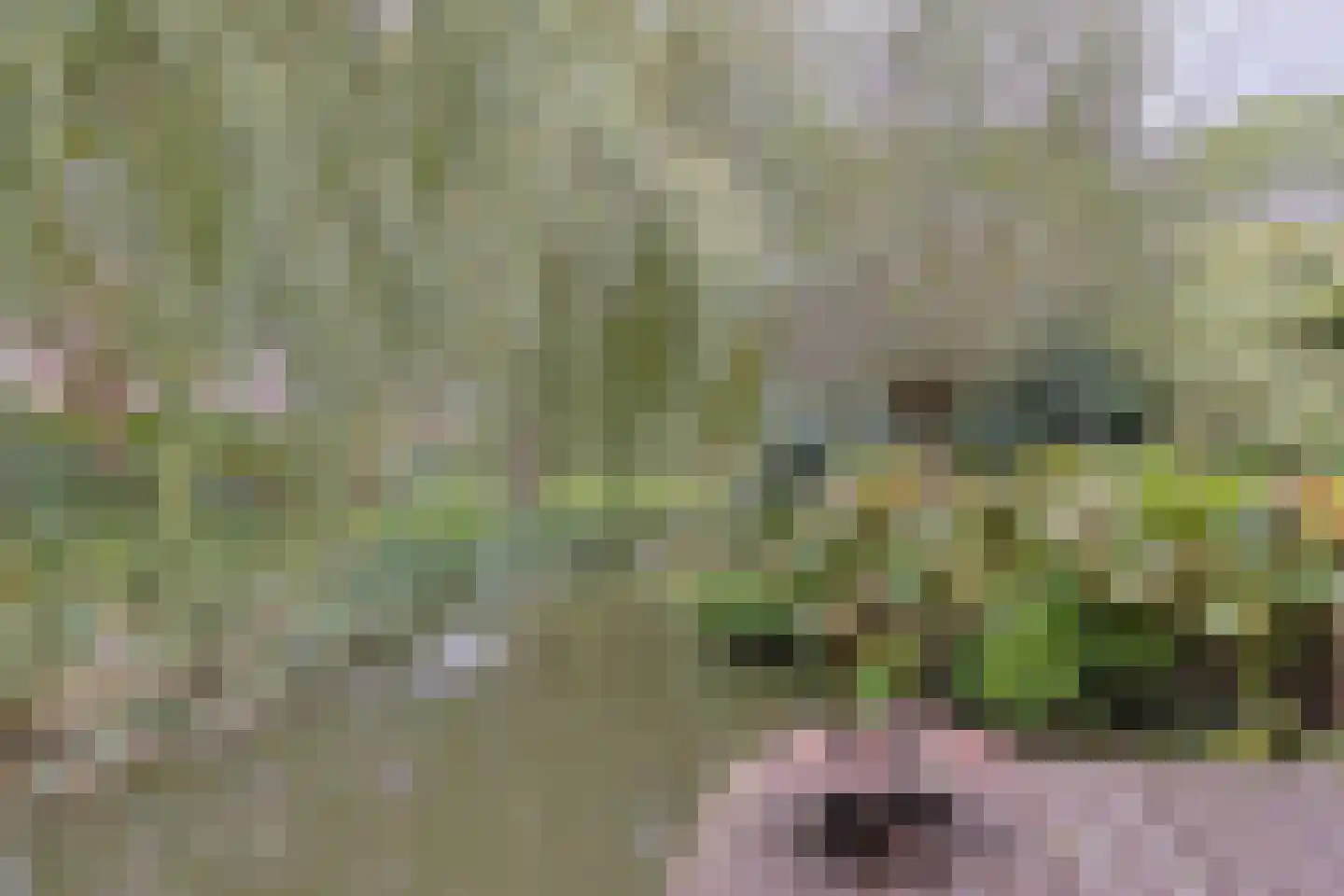 Lentekade 15 Leiderdorp thumbnail 33