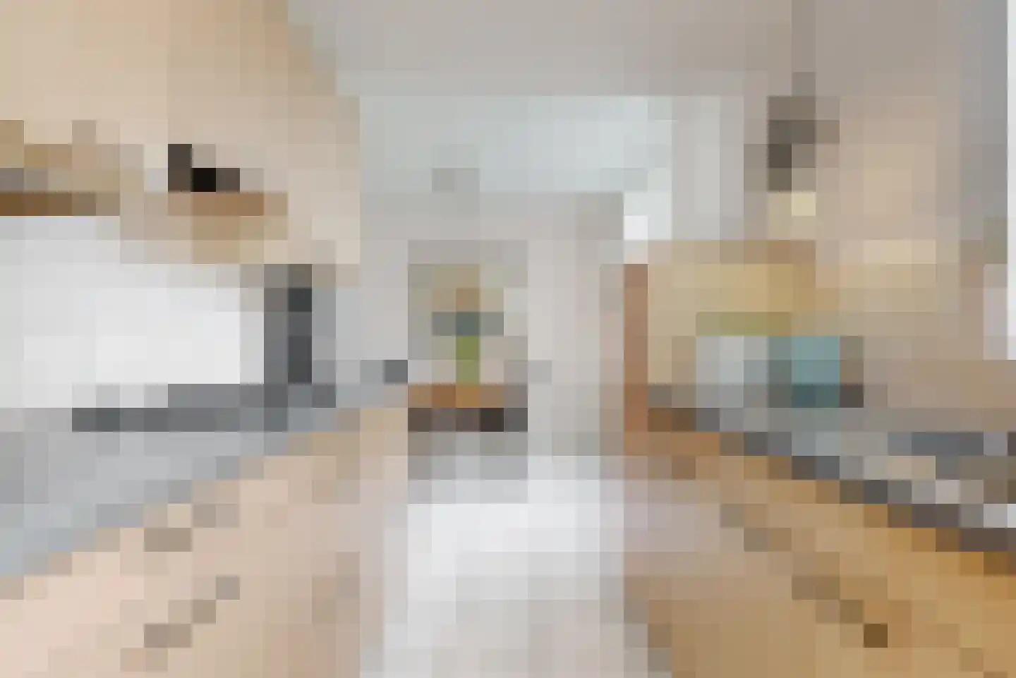 Lentekade 8 Leiderdorp thumbnail 16