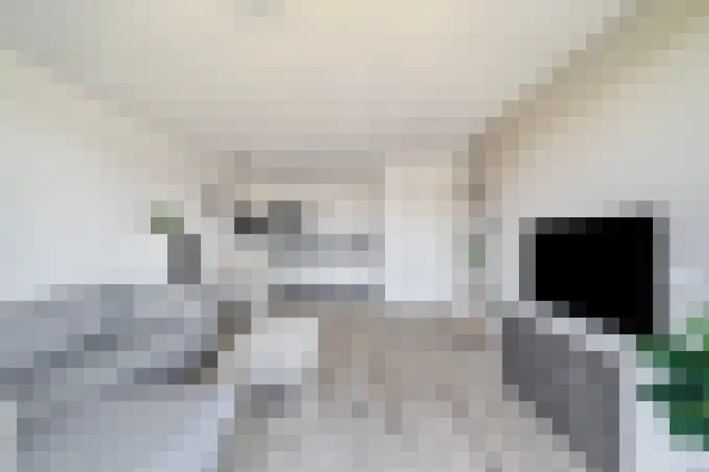 Lenteklokje 11 Breezand thumbnail 17
