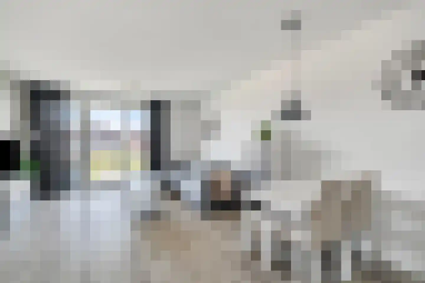 Lenteklokje 11 Breezand thumbnail 18
