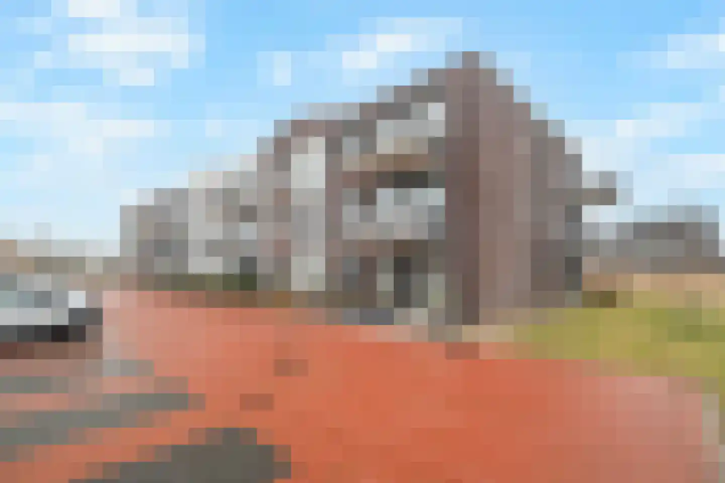 Lenteklokje 14 Breezand thumbnail 6
