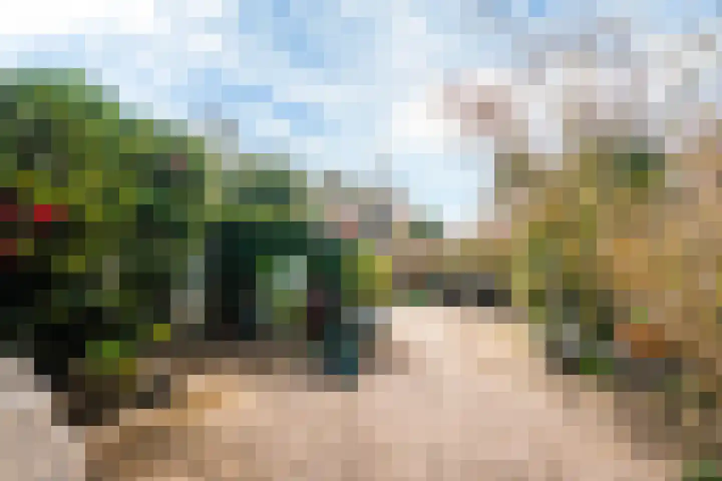 Lenteklokje 29 Leeuwarden thumbnail 31