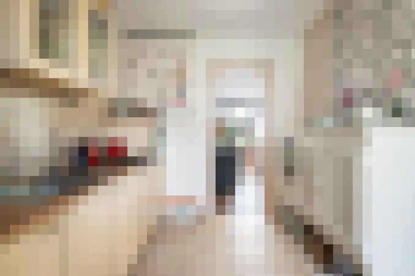Lenteklokje 29 Leeuwarden thumbnail 6