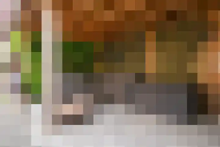 Lenteklokje 53 Leeuwarden thumbnail 27