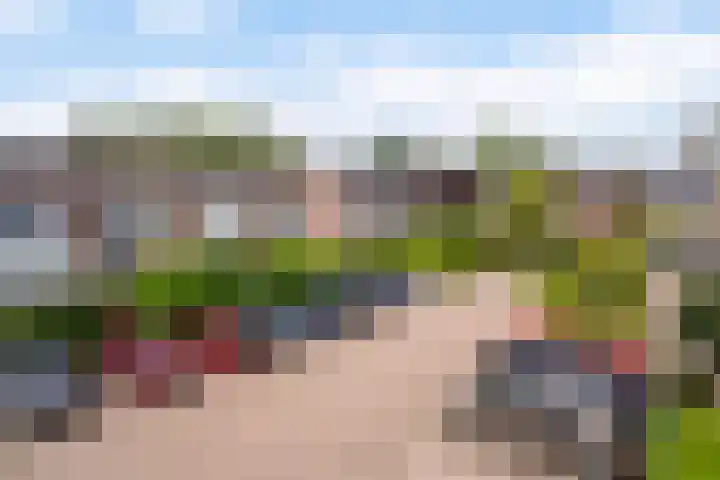 Lenteklokje 53 Leeuwarden thumbnail 7
