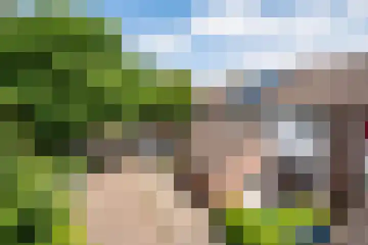 Lenteklokje 53 Leeuwarden thumbnail 8