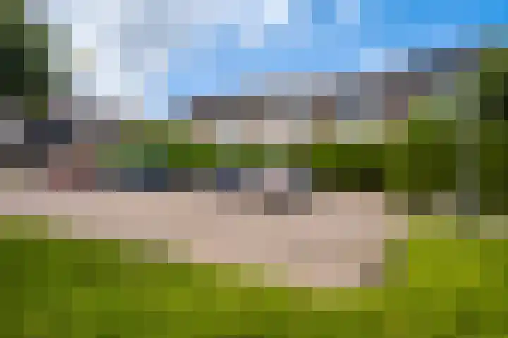 Lenteklokje 53 Leeuwarden thumbnail 9