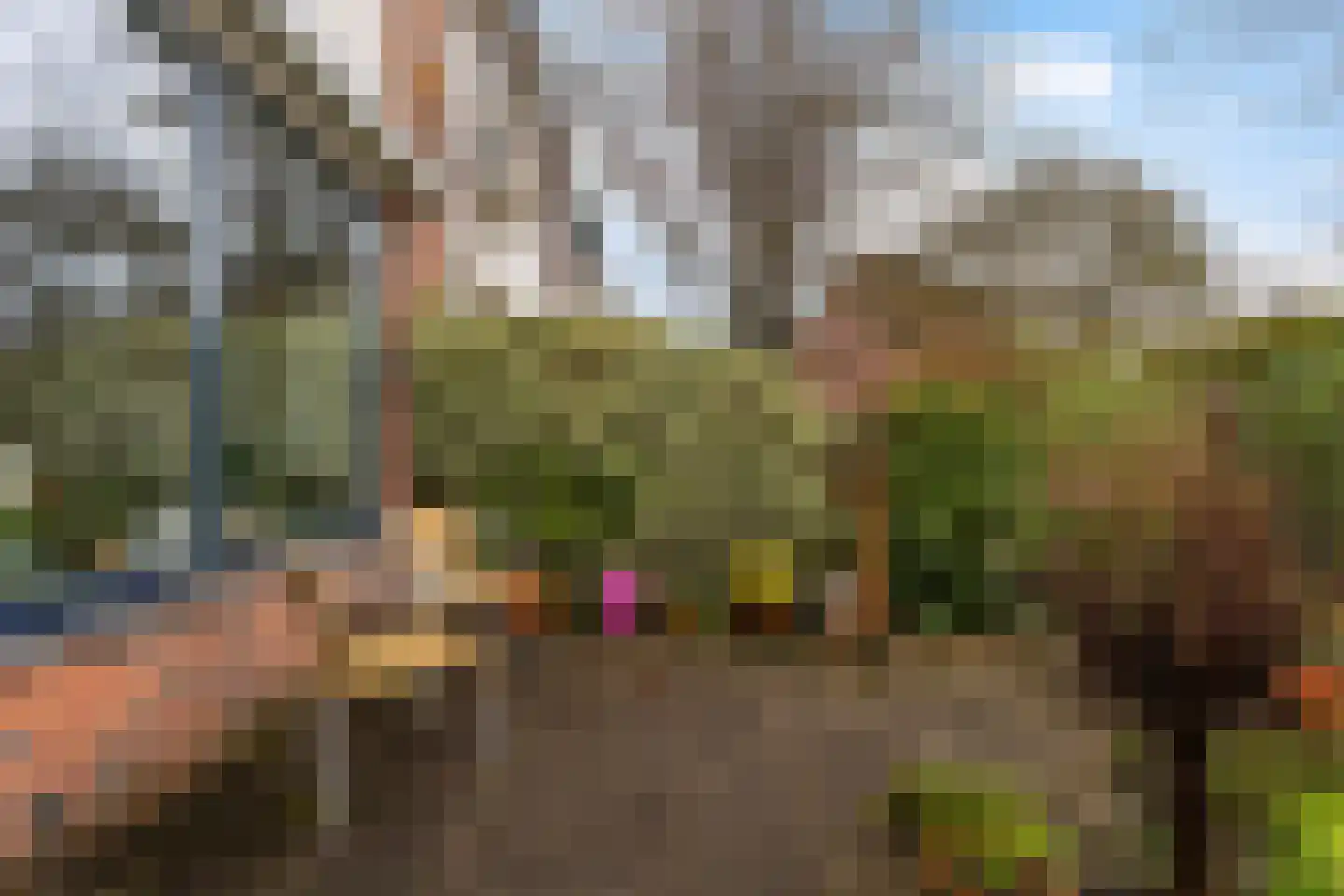 Lenteklokje 55 Leeuwarden thumbnail 32
