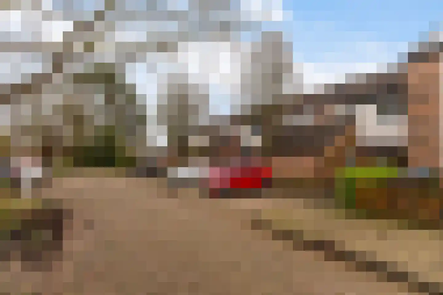 Lenteklokje 55 Leeuwarden thumbnail 34