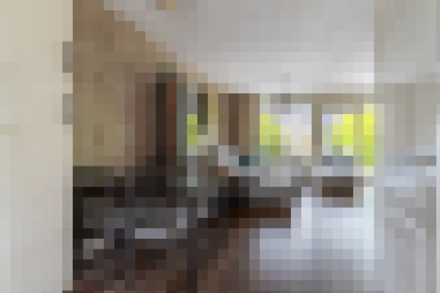 Lenteklokje 8 Leeuwarden thumbnail 12