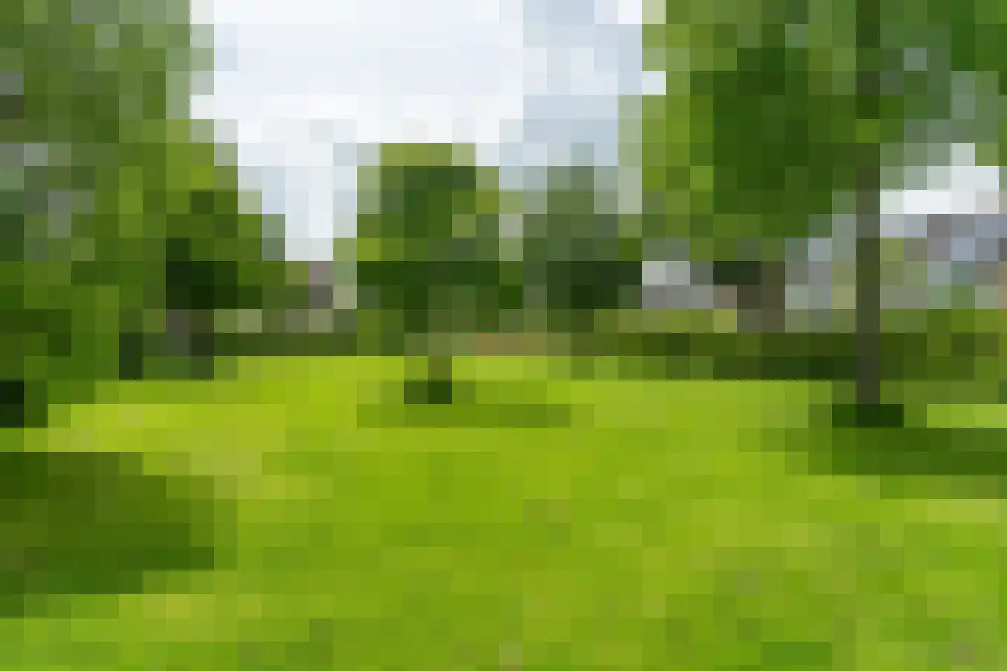 Lenteklokje 8 Leeuwarden thumbnail 38