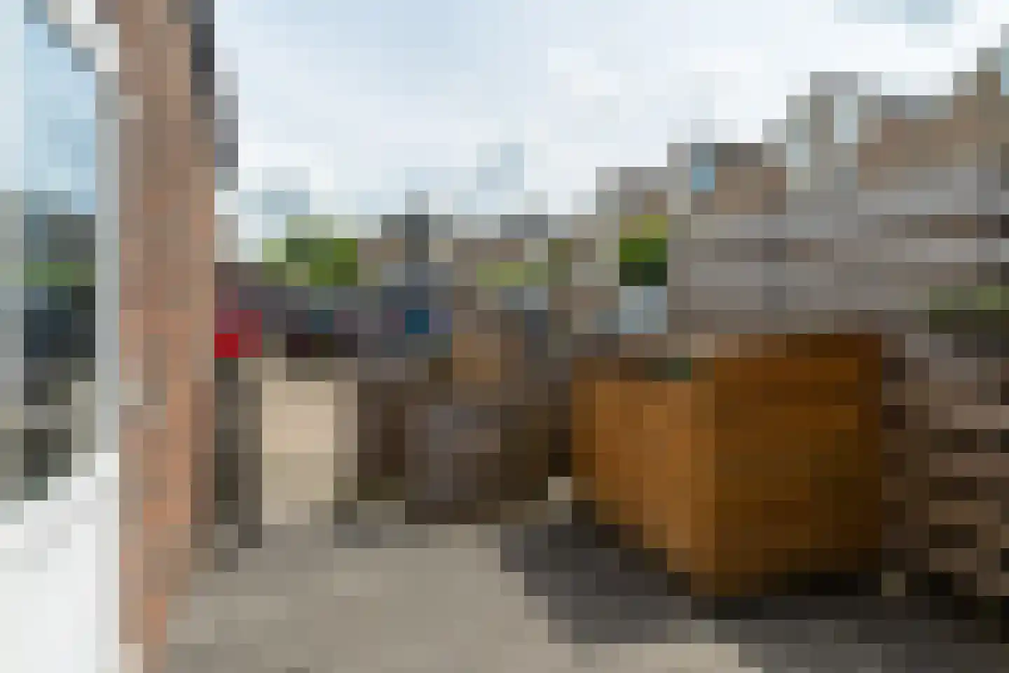 Lenteklokje 8 Leeuwarden thumbnail 6