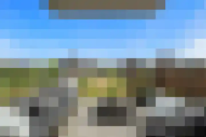 Lenteklokje 9 Breezand thumbnail 20