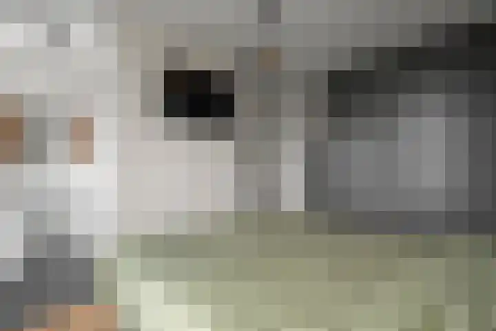 Lenteklokje 9 Breezand thumbnail 23