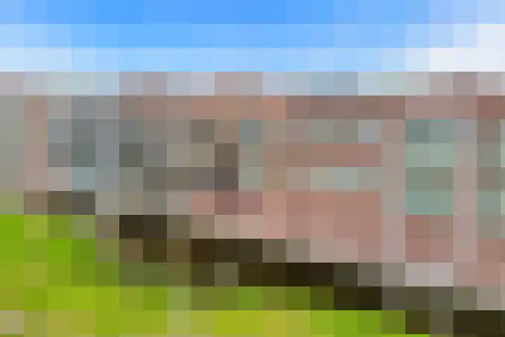 Lenteklokje 9 Breezand thumbnail 26