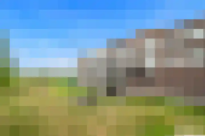 Lenteklokje 9 Breezand thumbnail 27