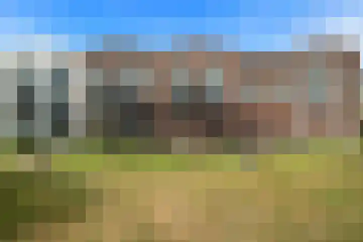 Lenteklokje 9 Breezand thumbnail 4