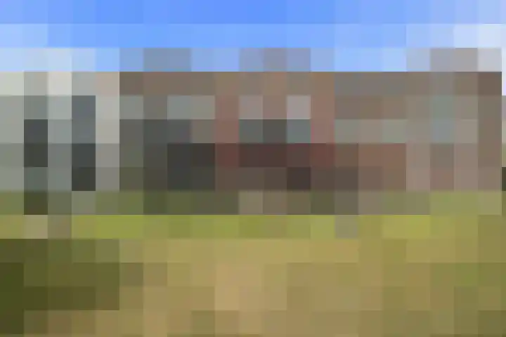Lenteklokje 9 Breezand thumbnail 5