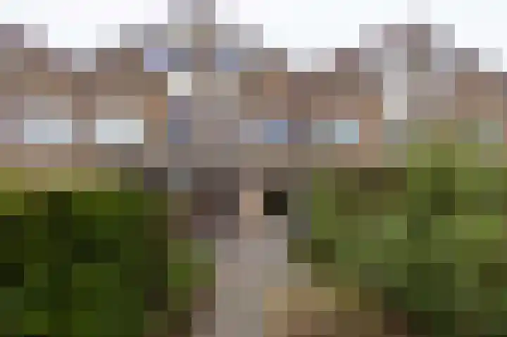 Lenteklokje 95 Leeuwarden