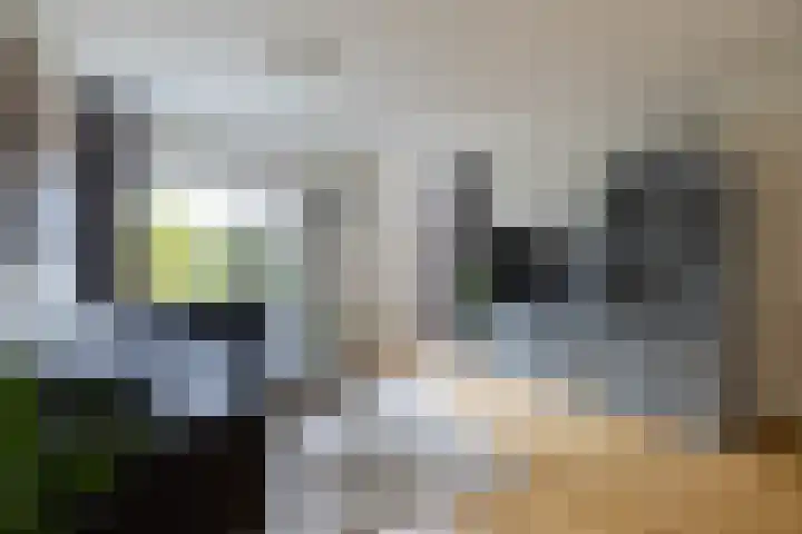 Lenteklokje 95 Leeuwarden thumbnail 17