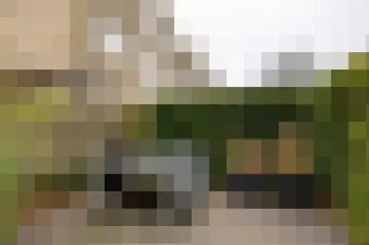 Lenteklokje 95 Leeuwarden thumbnail 39