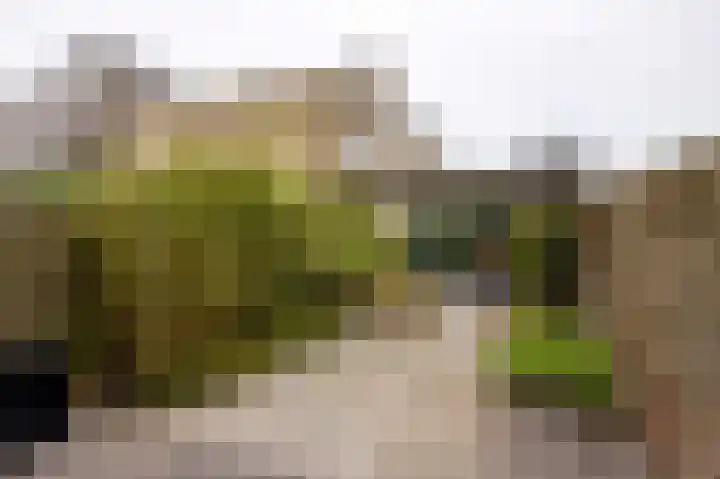 Lenteklokje 95 Leeuwarden thumbnail 4