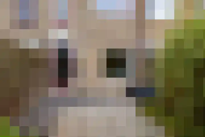 Lenteklokje 95 Leeuwarden thumbnail 41