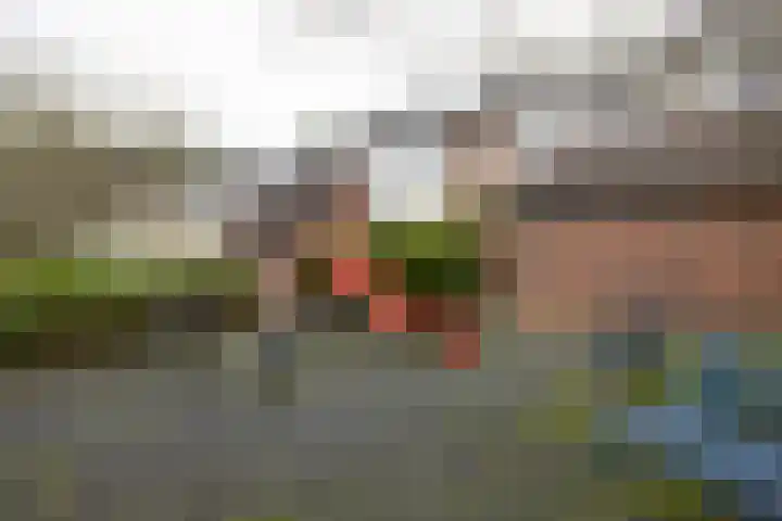 Lenteklokje 95 Leeuwarden thumbnail 42