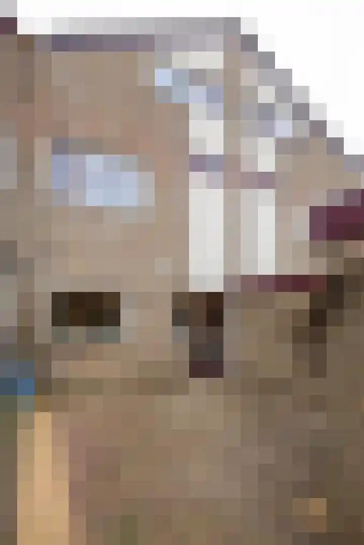 Lenteklokje 95 Leeuwarden thumbnail 5