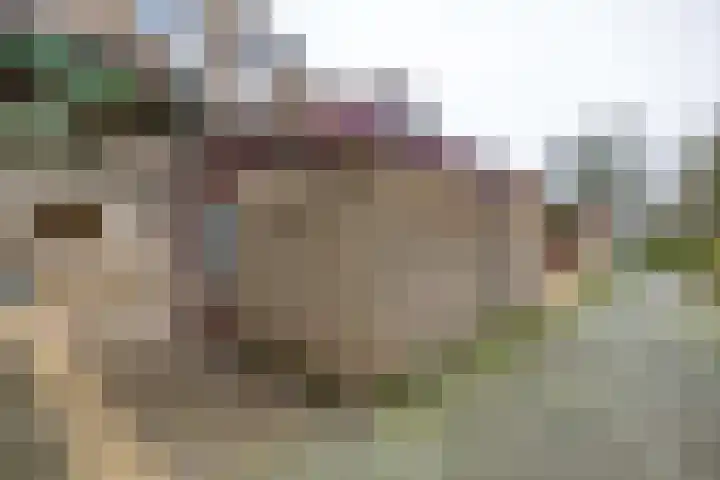 Lenteklokje 95 Leeuwarden thumbnail 6