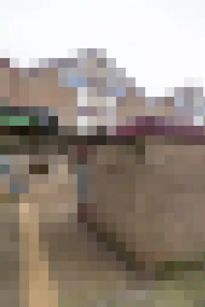 Lenteklokje 95 Leeuwarden thumbnail 7