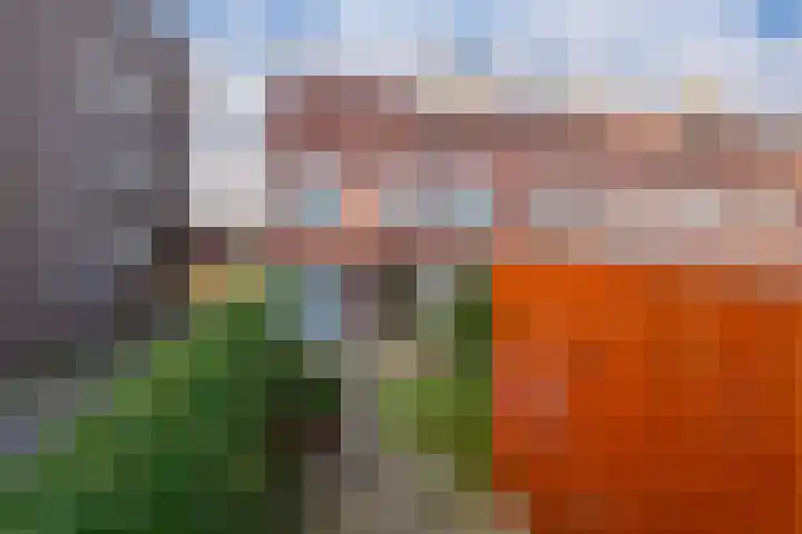 Lentemorgen 102 Zevenaar thumbnail 26
