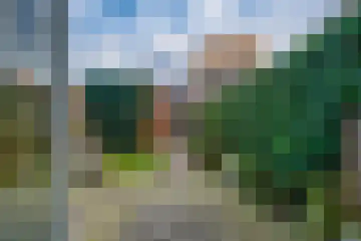 Lentemorgen 102 Zevenaar thumbnail 27
