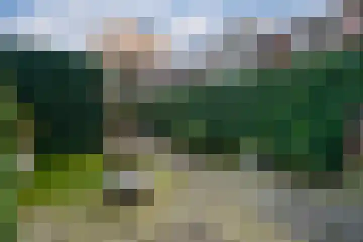 Lentemorgen 102 Zevenaar thumbnail 28