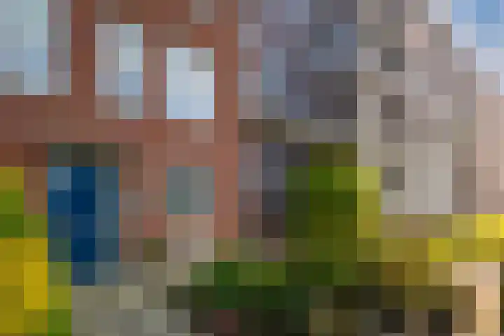 Lentemorgen 102 Zevenaar thumbnail 6