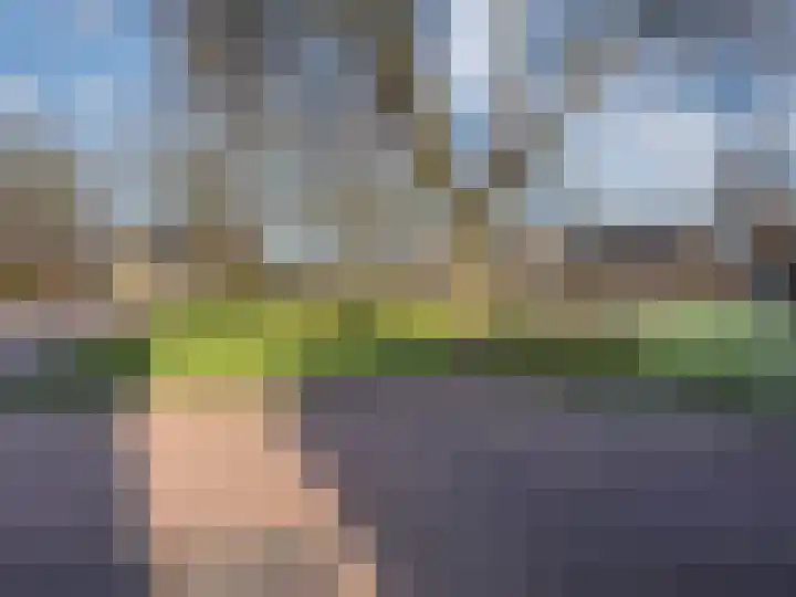 Lentemorgen 102 Zevenaar thumbnail 60