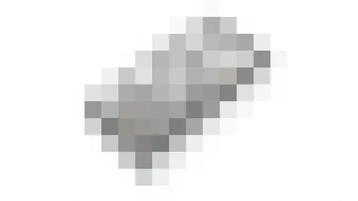 Lentemorgen 102 Zevenaar thumbnail 64